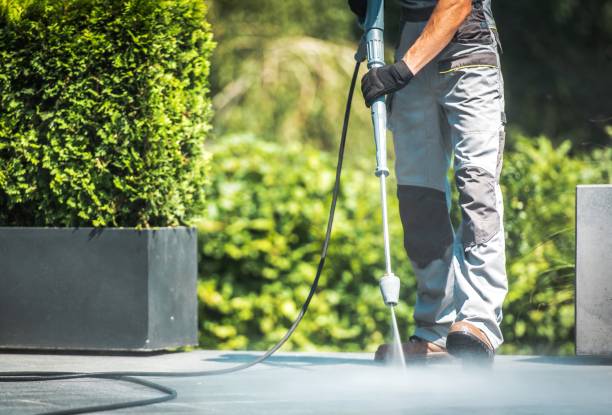 Best Animal Enclosure Cleaning  in Plandome, NY