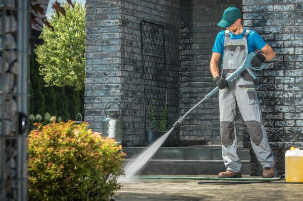 Pre-Holiday Cleaning in Plandome, NY